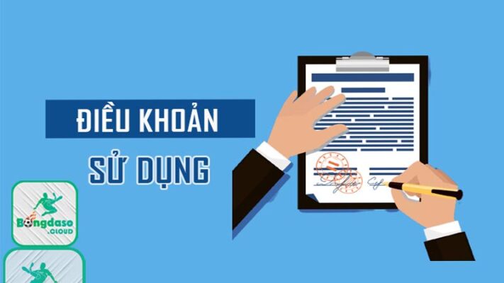 Tổng quan về điều khoản sử dụng bongdaso