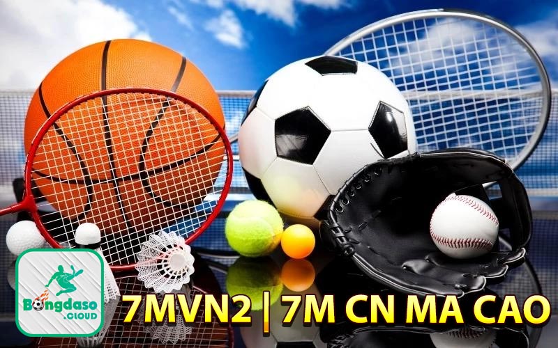 7mn2.com cung cấp dịch vụ cho người dùng miễn phí