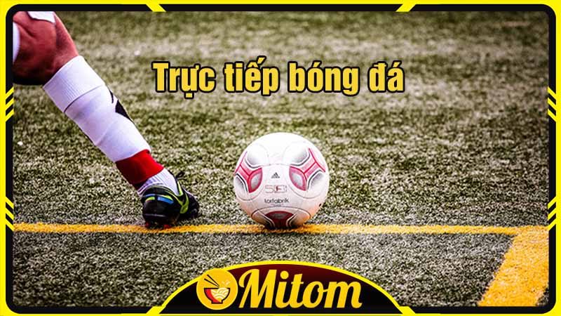 Thông tin chung về Mitom TV